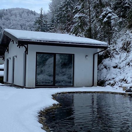 Cottage house Mizhhirya  Exterior foto