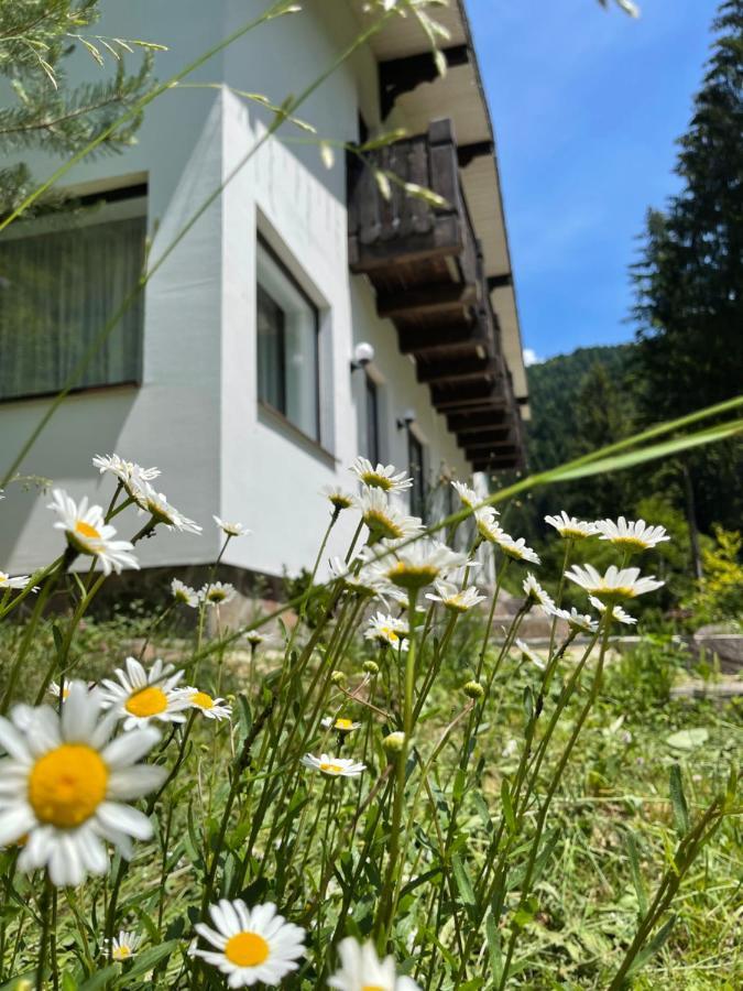 Котедж Грабовець Mizhhirya  Exterior foto