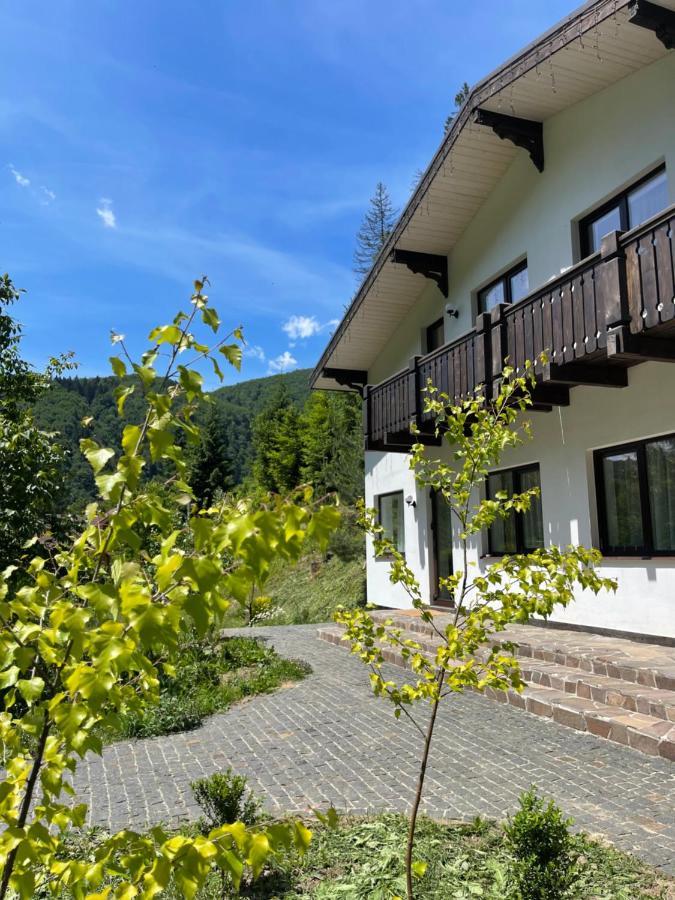Cottage house Mizhhirya  Exterior foto