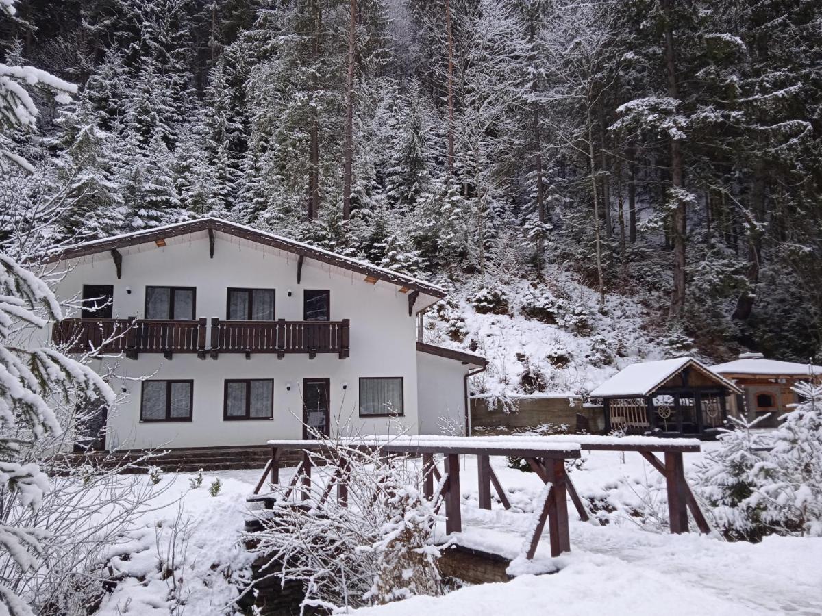 Cottage house Mizhhirya  Exterior foto