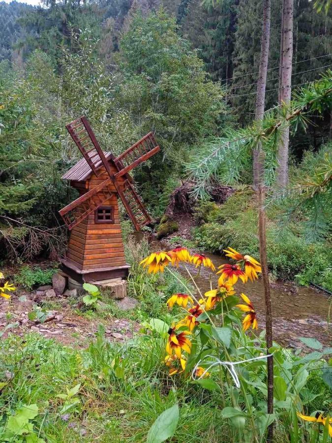 Котедж Грабовець Mizhhirya  Exterior foto