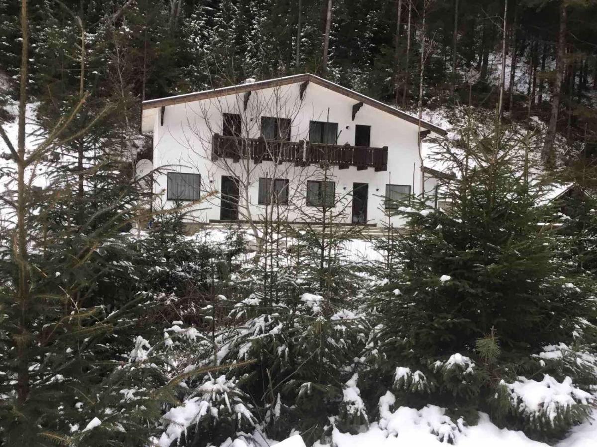 Котедж Грабовець Mizhhirya (Transcarpathia) Exterior foto