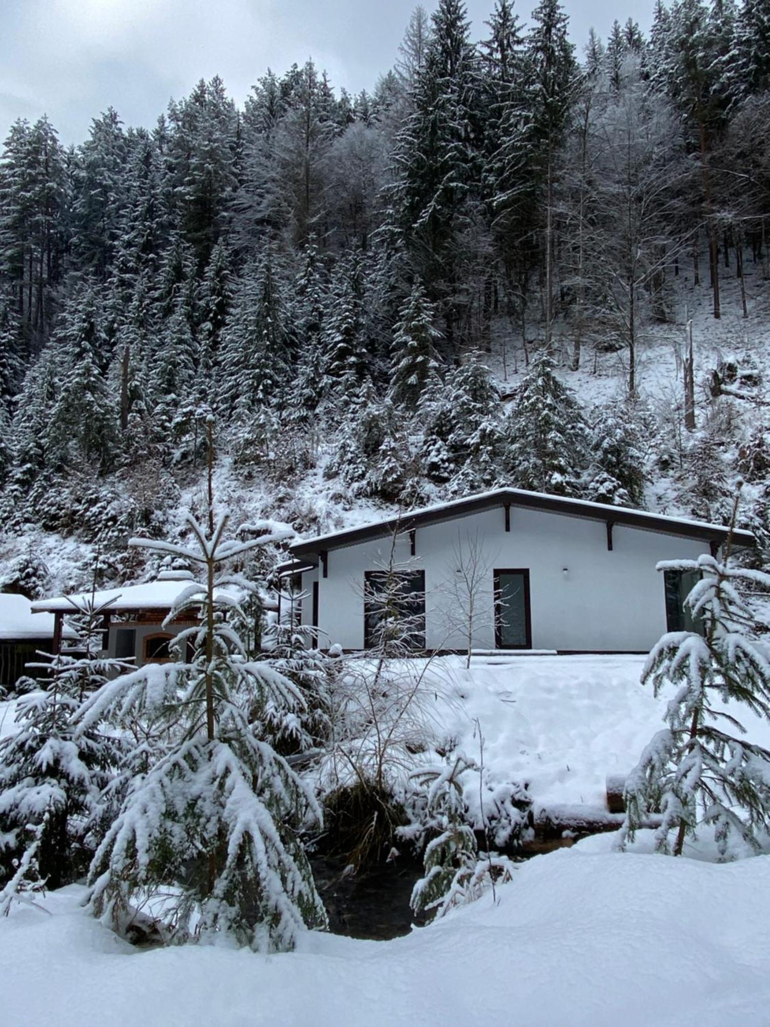 Котедж Грабовець Mizhhirya (Transcarpathia) Exterior foto