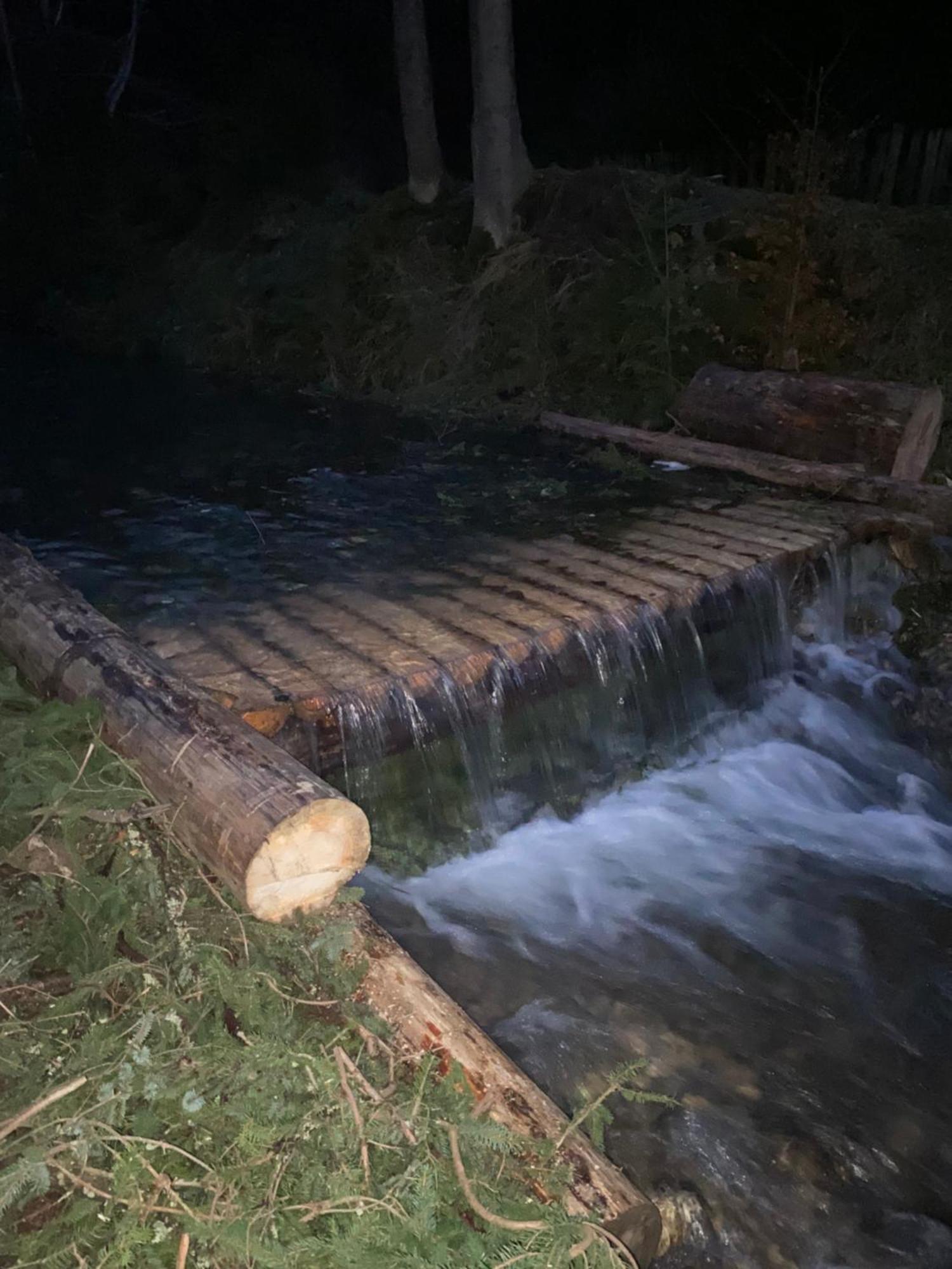 Котедж Грабовець Mizhhirya (Transcarpathia) Exterior foto