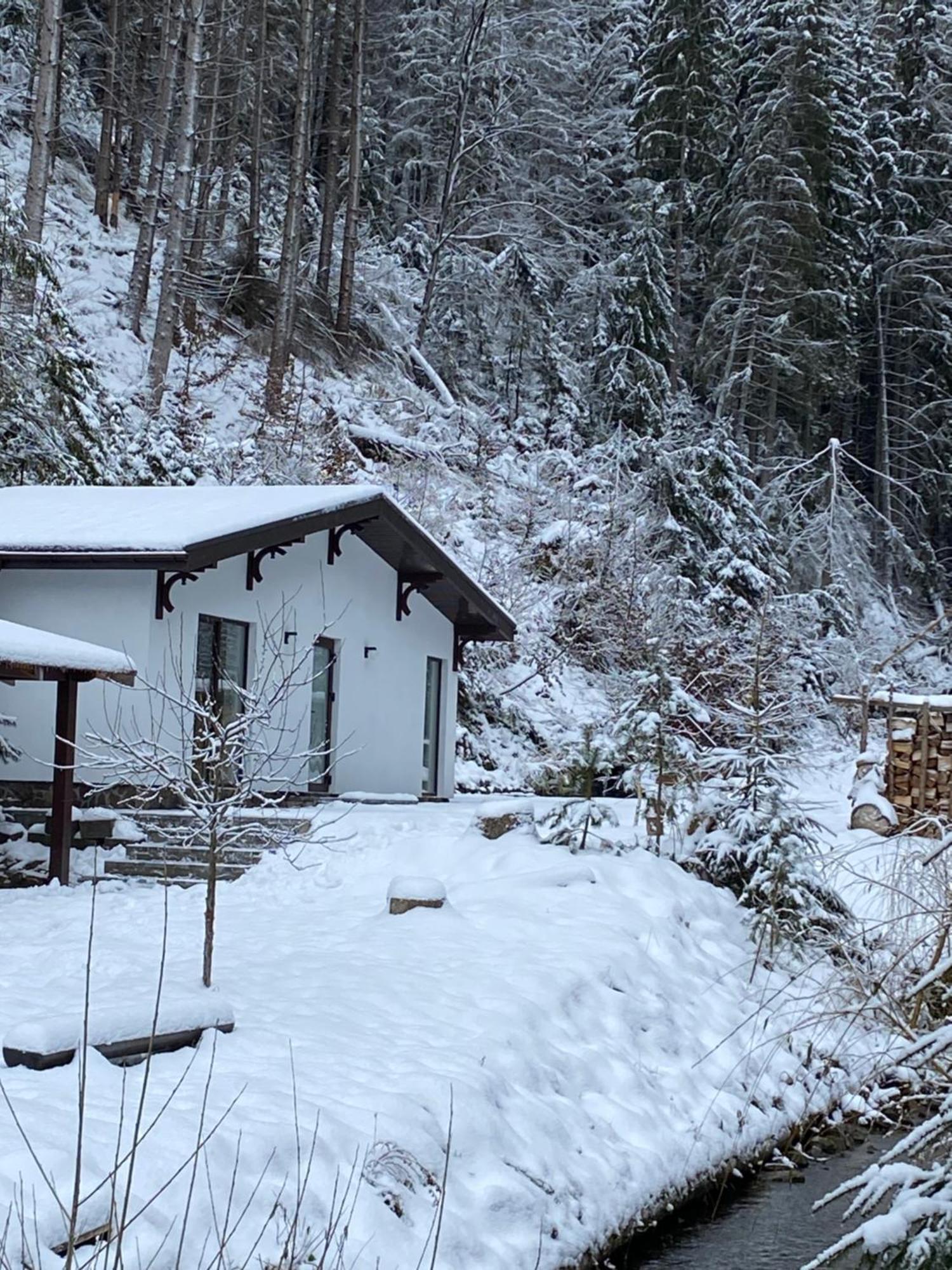 Котедж Грабовець Mizhhirya  Exterior foto